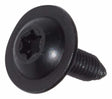 Jeep Steel Black Screw - 6503259