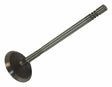 Jeep Steel Intake Valve - 4884691AA