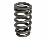 t Crown Automotive - Steel Unpainted Valve Spring - 4781588AC Crown Automotive