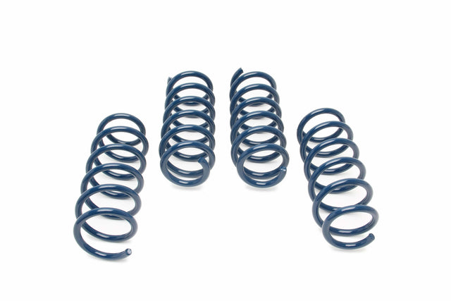 t Dinan Performance Spring Set - 2018-2020 BMW M550i xDrive - D100-0932 Dinan