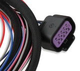 t DIS, Direct Ignition System Ignition Control - 6015MSD MSD