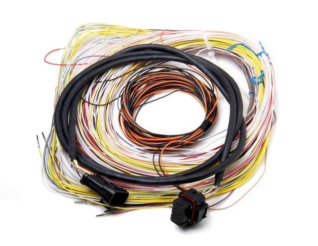 Holley EFI Dominator engine management system harness-558-401