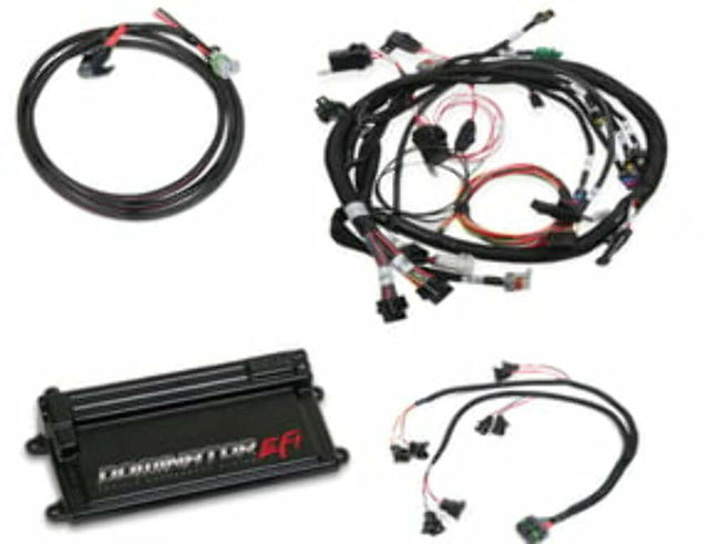 Holley EFI Dominator EFI Kit - Universal - COP Main Harness 550-654 for Chevy 12.3 inch