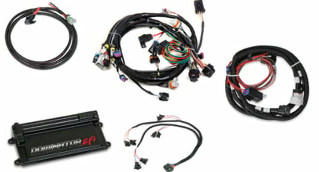 Holley EFI Dominator EFI-LS1 Main Harness w/ Trans Control w/EV1 Injector Harness 550-656 for Ford 12.3 inch