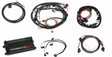 t Dominator EFI-LS2 Main Harness w/ Trans and DBW w/EV1 Injector Harness 550-660 Holley EFI