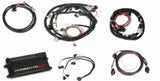 t Dominator EFI-LS2 Main Harness w/ Trans and DBW w/EV1 Injector Harness 550-660 Holley EFI