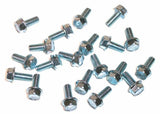 1960-1966 Chevrolet C10 Panel; Front Fender Bolt Set steel FSMB066