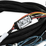 Holley EFI Fits 2018-2022 Ford, Throttle Body-Throttle Pedal, HolleyEFI DBW Harness 558-469