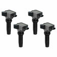 MSD ignition coil for 2019-2022 Ford black red 825974