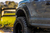 Fits Ford F-150 2&4WD (2015-2020) Fender Flares Defender H5 Caribou A-F11811-H5