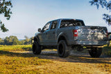 Fits Ford F-150 2&4WD (2015-2020) Fender Flares Defender H5 Caribou A-F11811-H5