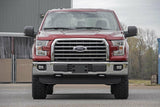 Fits Ford F-150 2WD (2014-2024) N3 Leveling Struts; 2 Inch; Loaded Strut; 501074