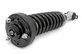 Strut for 2014-2024 Ford F-150 by Rough Country