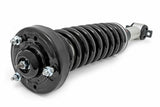 Strut for 2014-2024 Ford F-150 by Rough Country