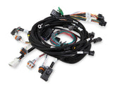 Holley EFI wiring harness harness-558-108