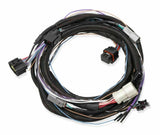 Holley EFI wiring harness harness-558-470