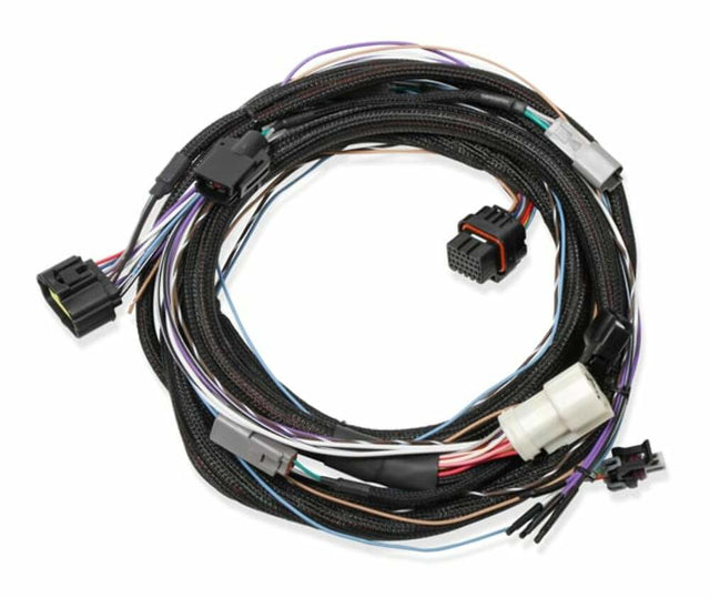 Holley EFI wiring harness harness-558-470