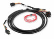 Holley EFI Ford Coyote (2011-2017) Drive-By-Wire Harness - 558-422 for 2011-2017 Ford