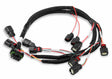 Holley EFI wiring harness harness-558-317