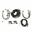 Holley EFI Ford Coyote Ti-VCT Harness Kit 558-510