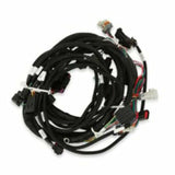 Holley EFI wiring harness kit-558-510