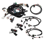 Holley EFI wiring harness kit-558-505