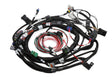 Holley EFI wiring harness harness-558-118