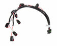 Holley EFI Dominator engine management system coils-558-310