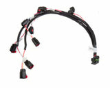 Holley EFI Dominator engine management system coils-558-310
