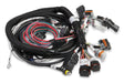Holley EFI Gen III HEMI Main Harness , Late, w/TPS and Idle Air Control Connections 558-116