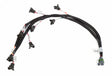 t Gen III HEMI V8 Injector Harness - Bosch/Jetronic and Holley injectors - 558-211 HolleyEFI