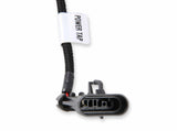 Holley EFI wiring harness only-558-131