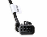 Holley EFI wiring harness only-558-131