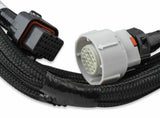 Holley EFI wiring harness harness-558-405