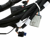 Holley EFI wiring harness coils-558-140