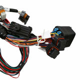 Holley EFI wiring harness coils-558-140