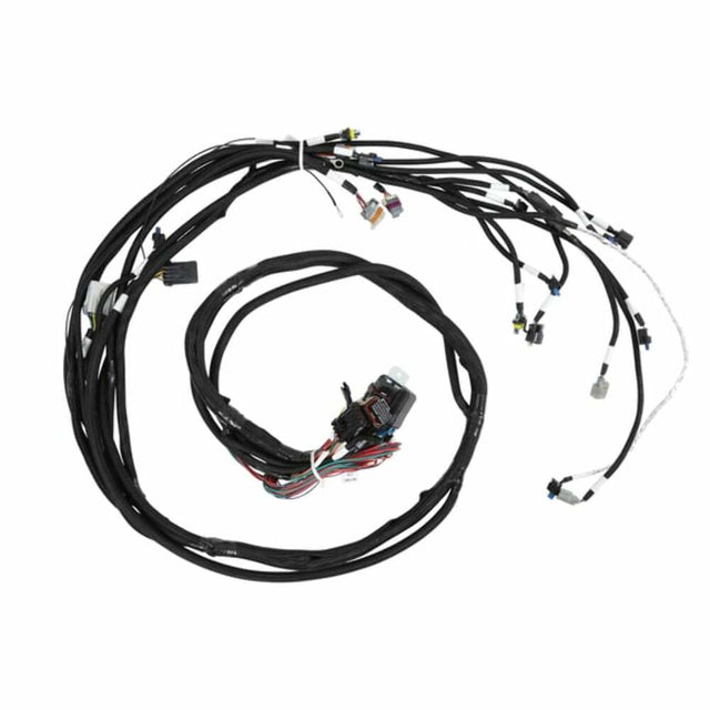 Holley EFI wiring harness coils-558-141