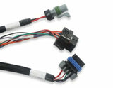Holley EFI wiring harness harness-558-127