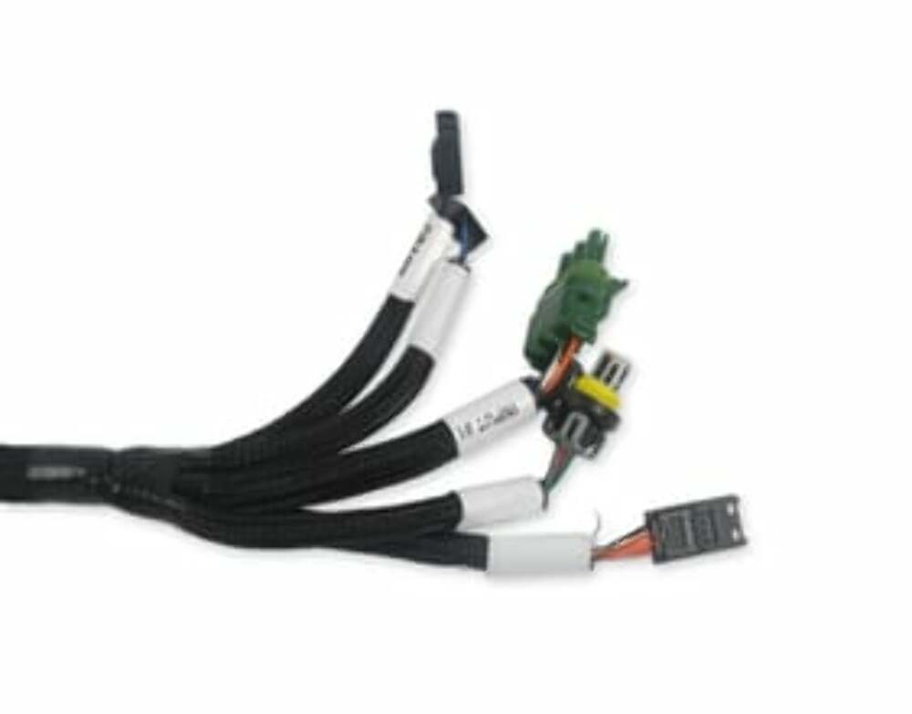 Holley EFI wiring harness harness-558-127