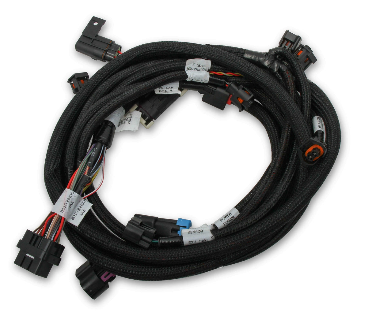 Holley EFI Dominator engine management system harness-2013-2017-558-125