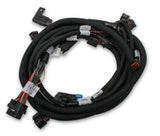 Holley EFI Dominator engine management system harness-2013-2017-558-125