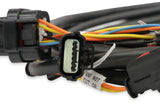 Holley EFI Ford GT500 and 3V Drive-by-Wire Throttle Body Harness - 558-461
