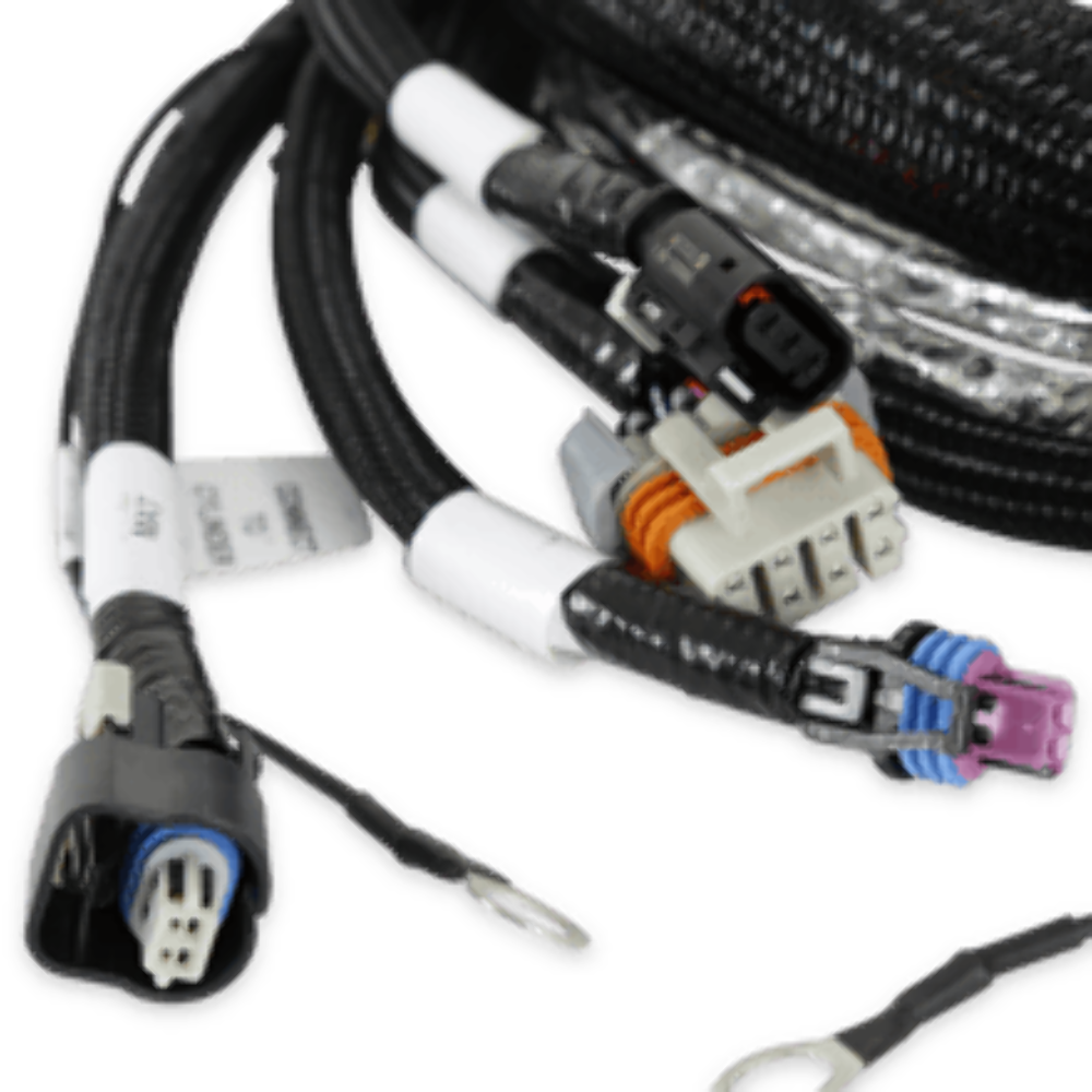 Holley EFI wiring harness harness-558-129