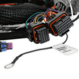 Holley EFI wiring harness harness-558-129