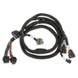 t Holley EFI GM GEN V GDI Subharness 558-221 Holley EFI