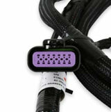 t Holley EFI GM GEN V GDI Subharness 558-221 Holley EFI
