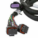 t Holley EFI GM GEN V GDI Subharness 558-221 Holley EFI