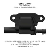 Holley ignition coil black pair-561-130