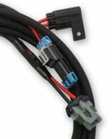 Holley EFI wiring harness