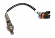 t Holley EFI O2 Sensors 554-100 Holley